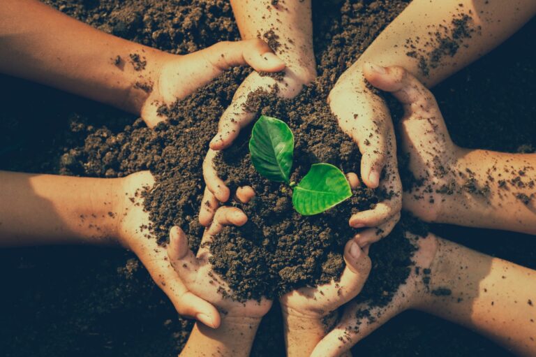 shutterstock_2121825908-2048x1363