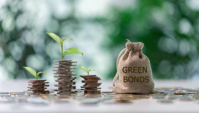 shutterstock_2463946109-1536x874